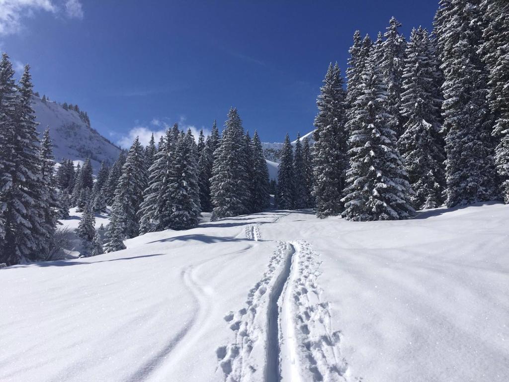 Hotel Der Tannenhof Reutte Zewnętrze zdjęcie